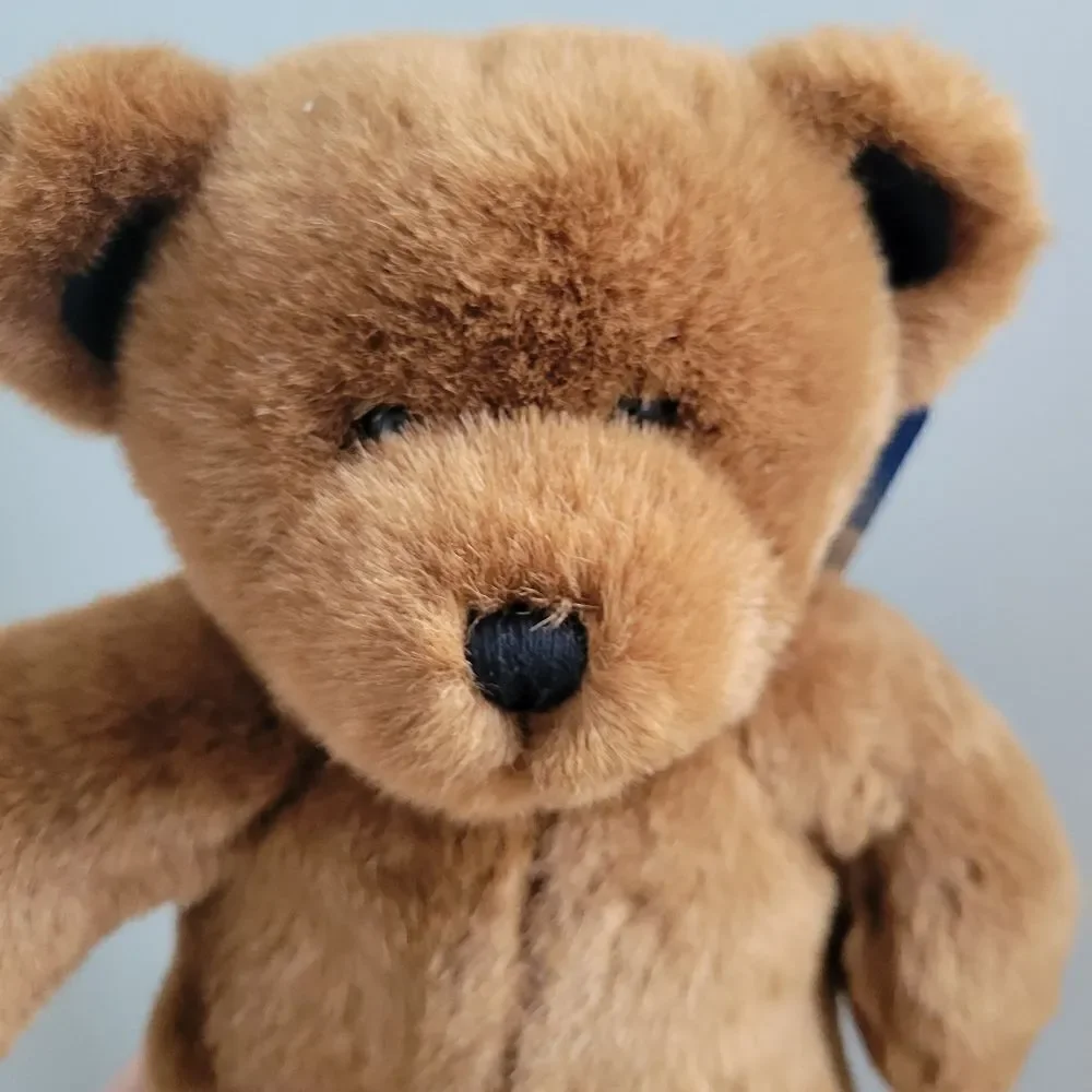 Lil Cocoa Cub Bear - Picture 2 of 9